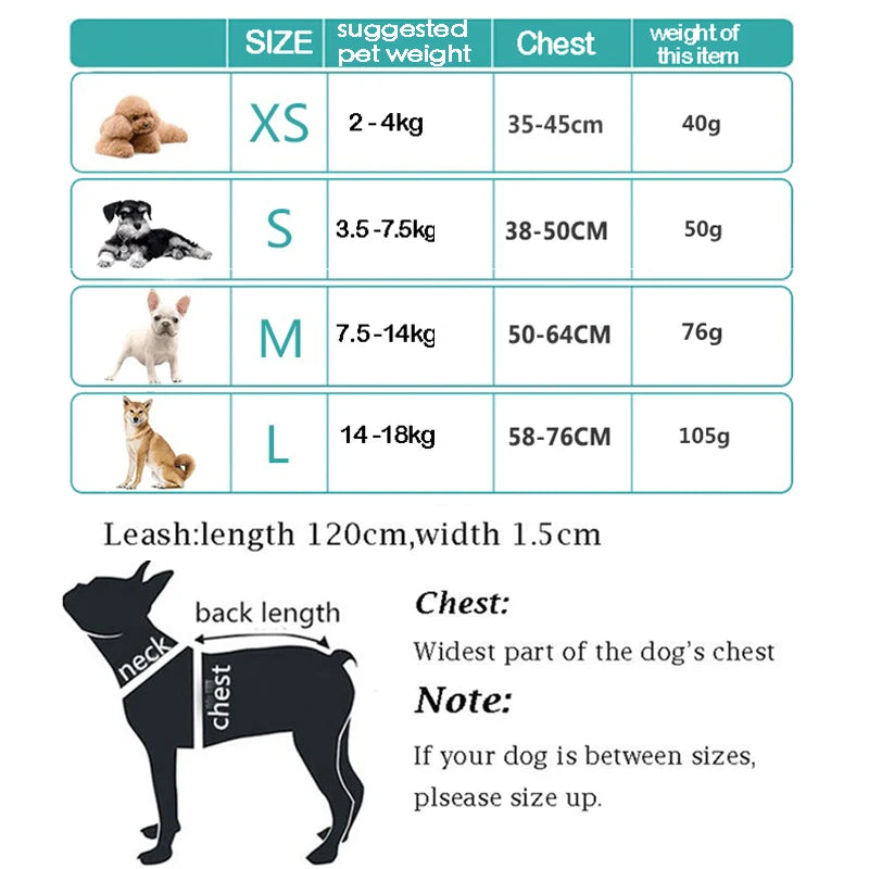 Reflective Dog Harness And Leash Set - House of Yorkie