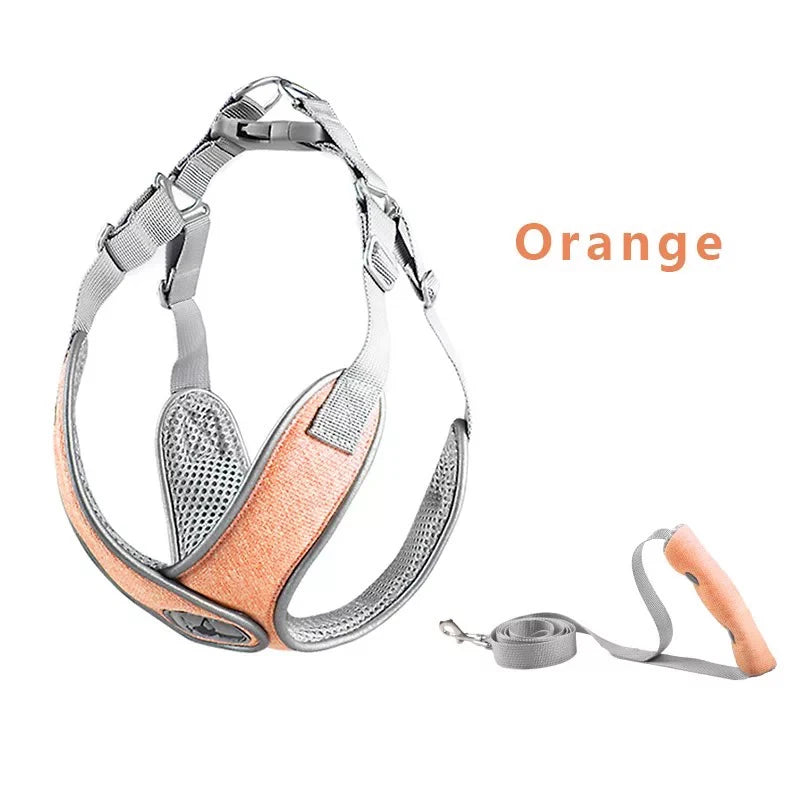Reflective Dog Harness And Leash Set - House of Yorkie