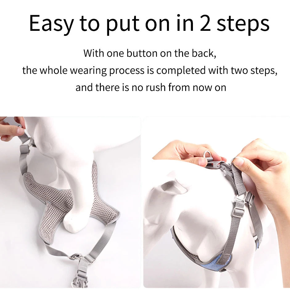 Reflective Dog Harness And Leash Set - House of Yorkie