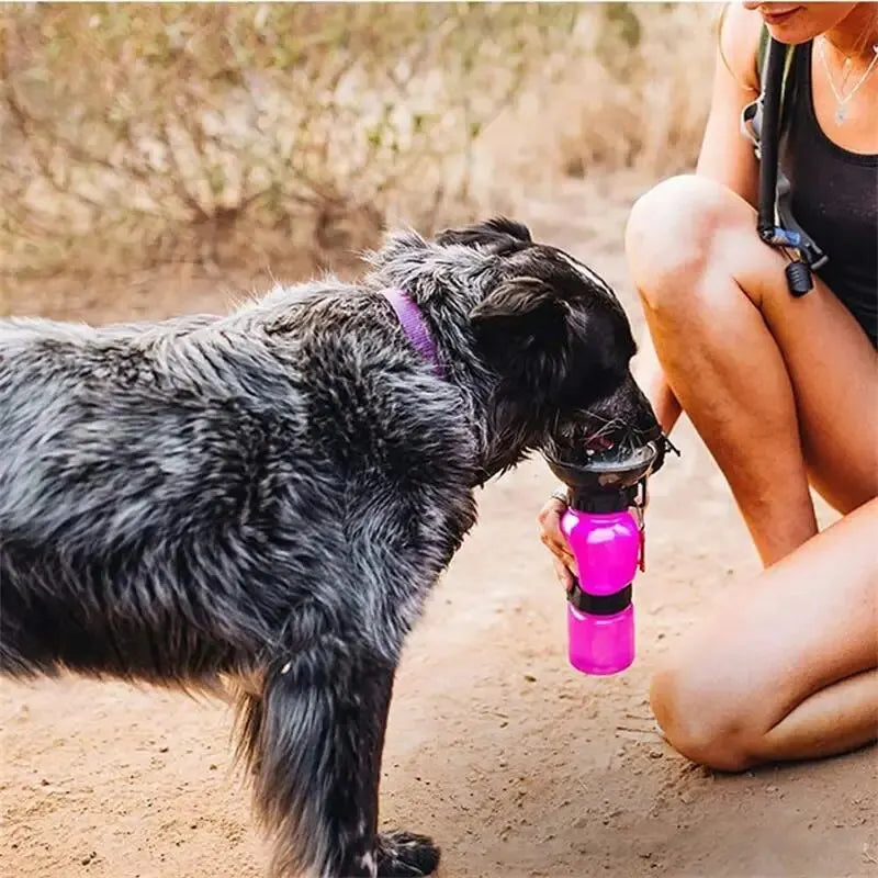 Portable Dog Water Bottle - House of Yorkie