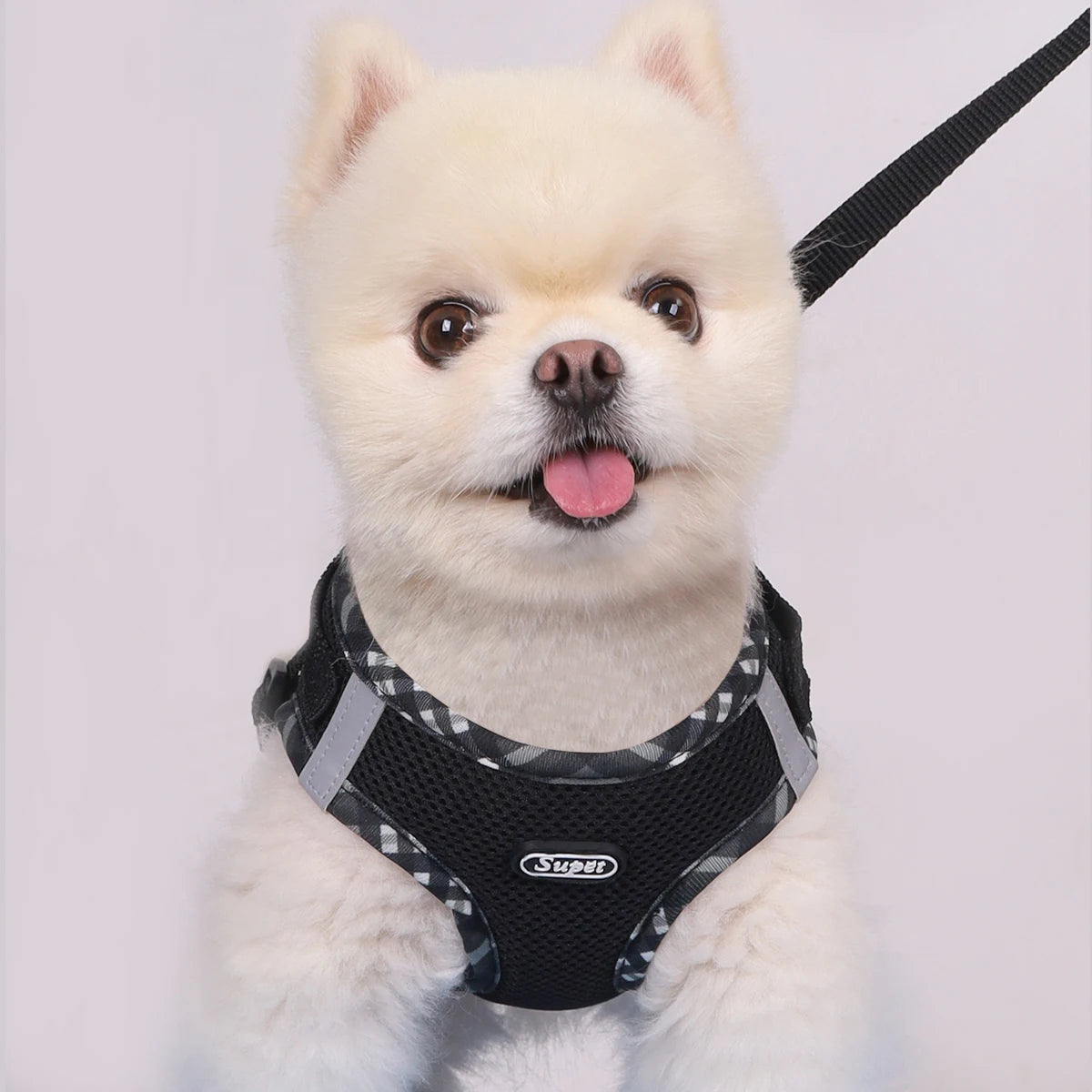 Dog Harness - Mesh, Anti-Pull, Suitable for Small Dogs - House of Yorkie