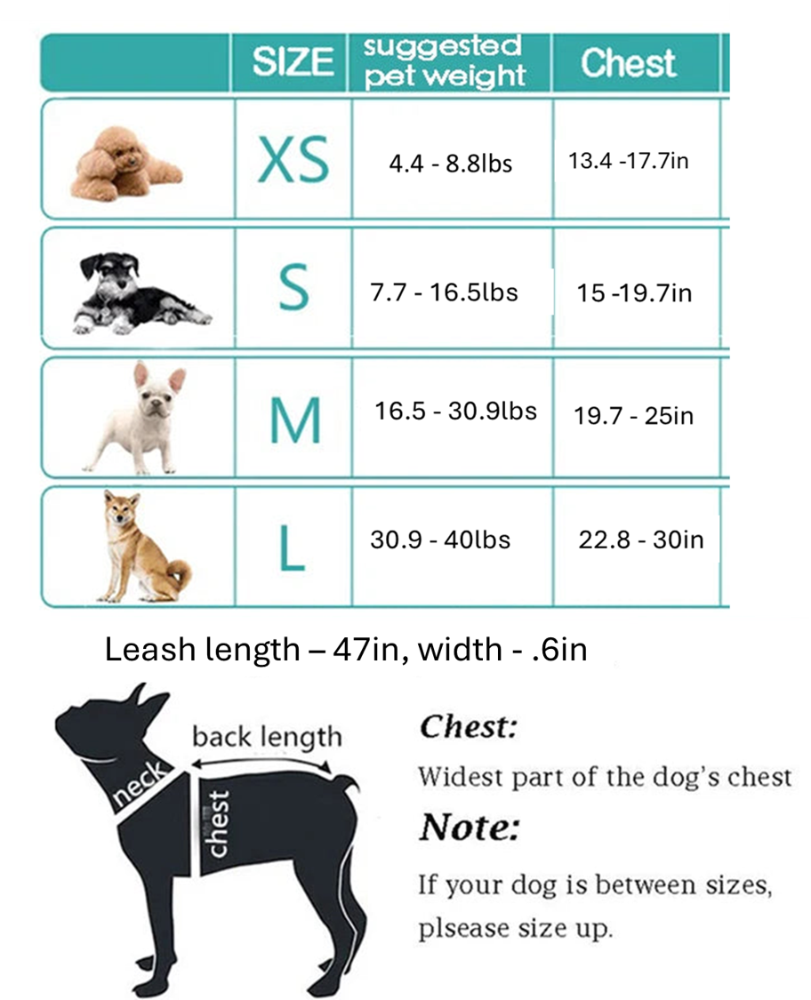 Reflective Dog Harness And Leash Set - House of Yorkie