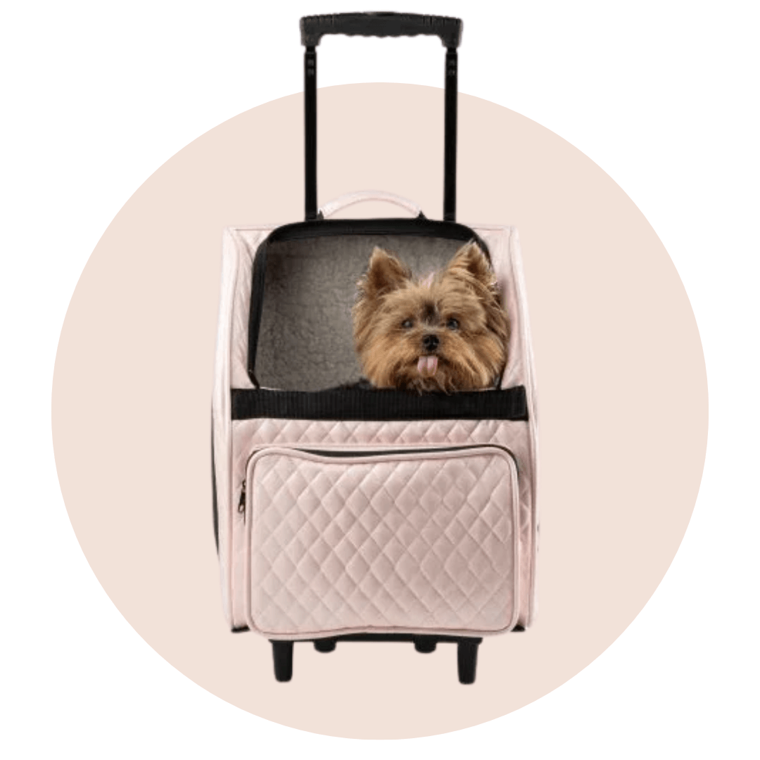 TRAVEL & CARRY - House of Yorkie