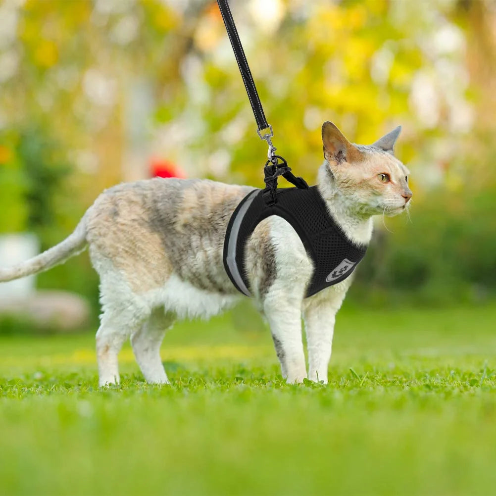 Breathable Harness And Leash - Escape Proof