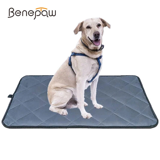 Benepaw All season Bite Resistant Dog Mat Antislip Waterproof