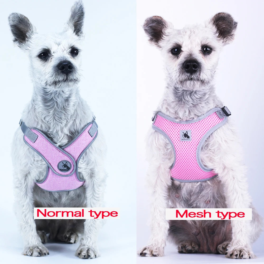 Reflective Dog Harness And Leash Set