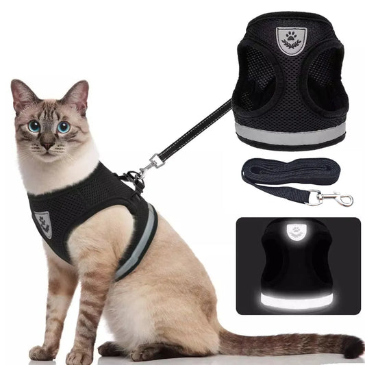Breathable Harness And Leash - Escape Proof