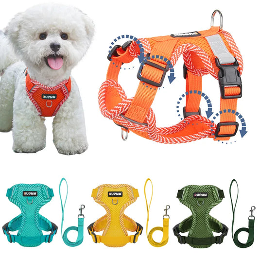 4-point Adjustment Dog Harness and Leash Set for Small Dogs