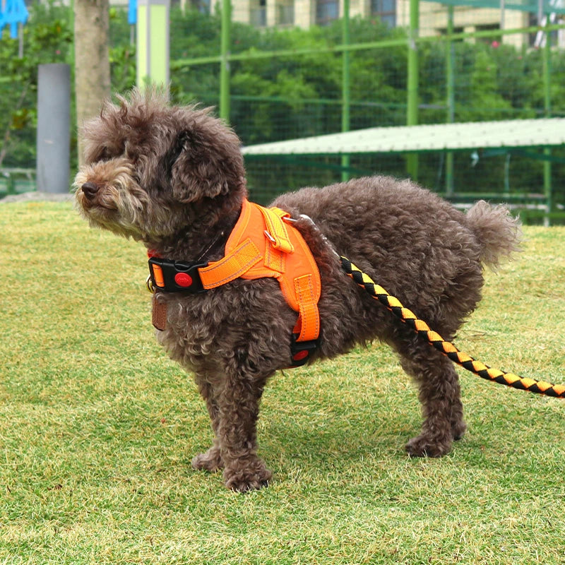 Durable No Pull Dog Harness Comfortable Adjustable Reflective Breathable Massage Pet Vest With Easy Control Handle