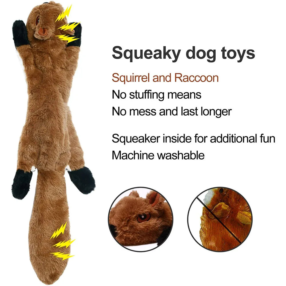 No Stuffing Dog Toy with Squeakers