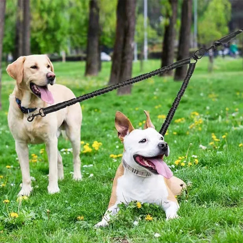 Two Dog Leash Extender