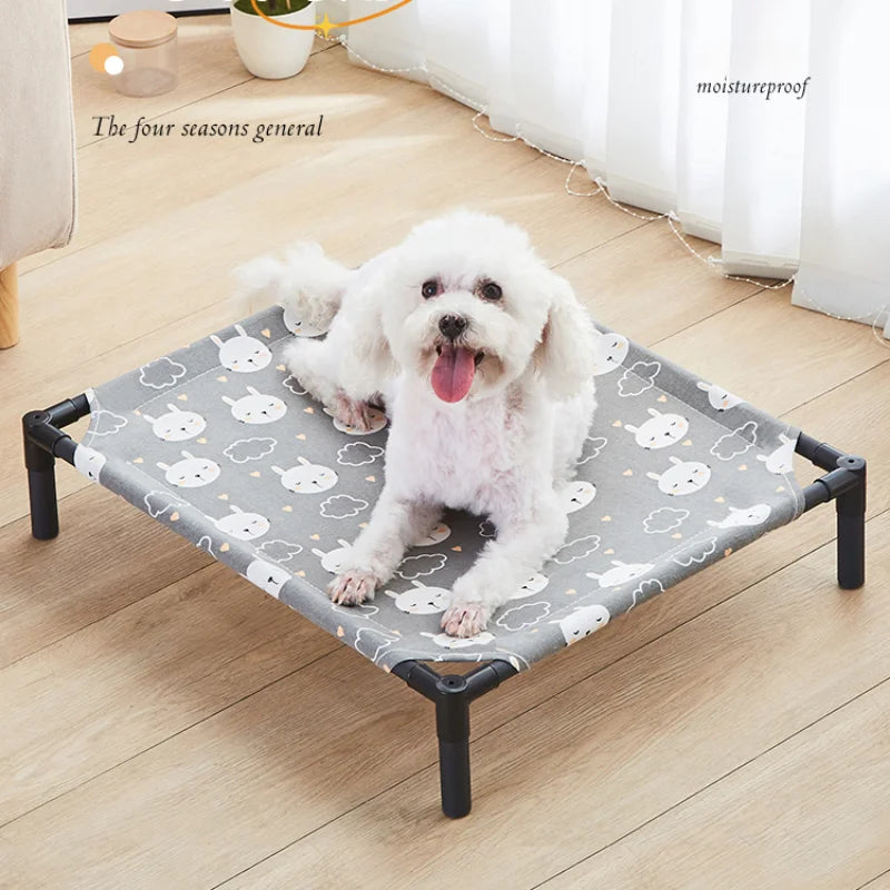 Elevated Bed for Dogs