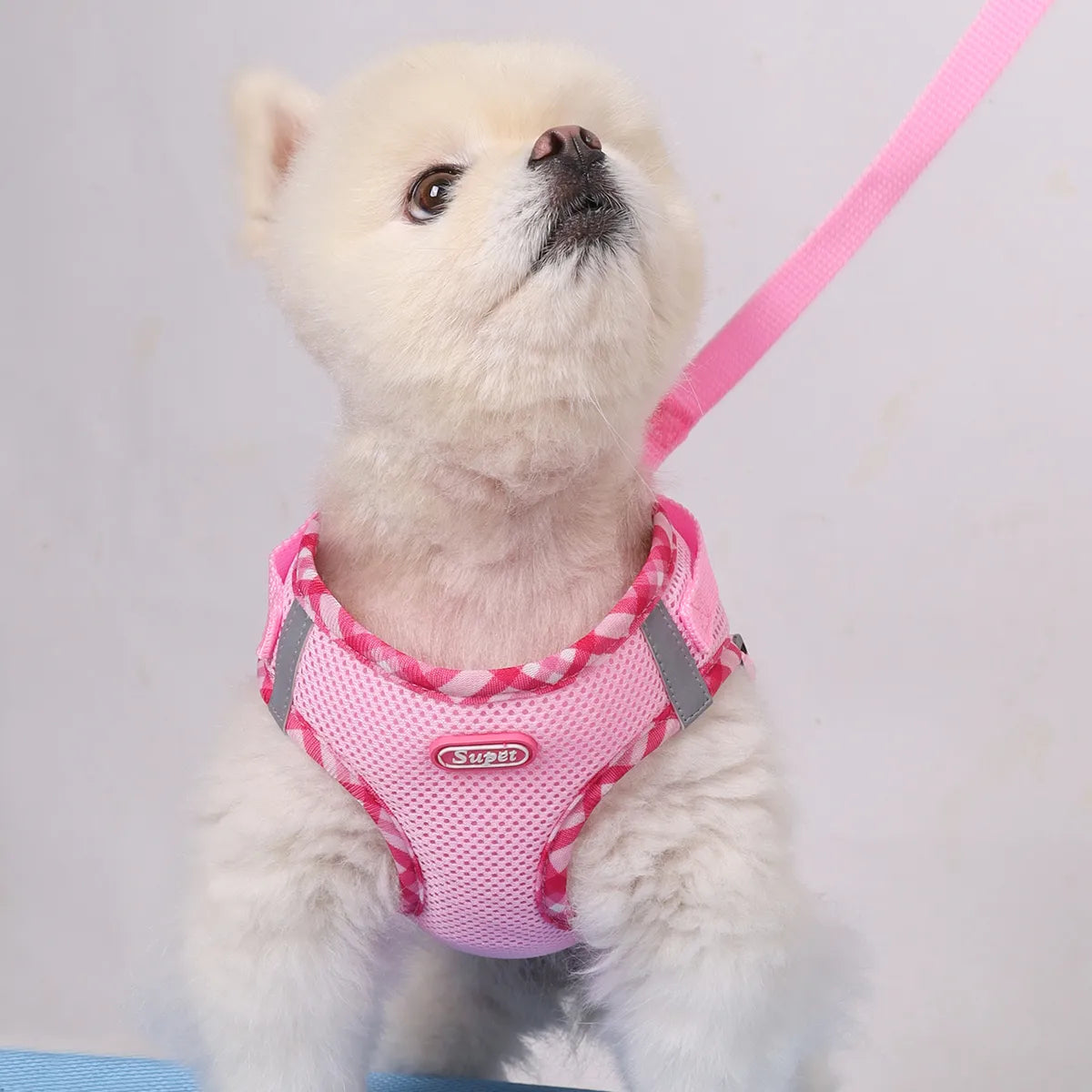 Dog Harness - Mesh, Anti-Pull, Suitable for Small Dogs