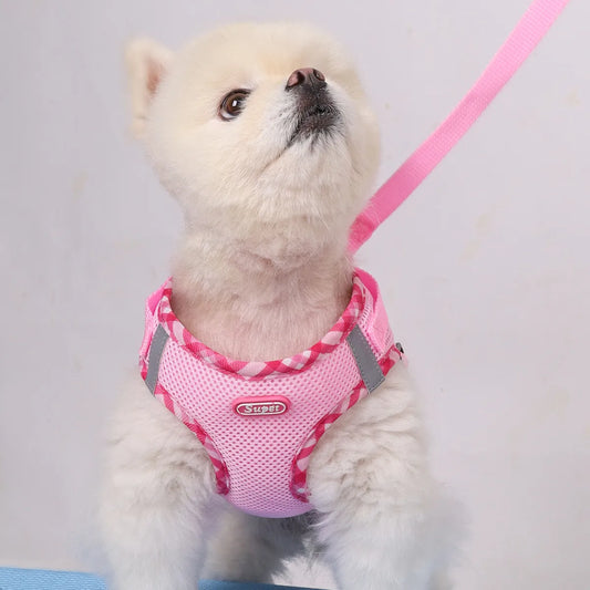 Dog Harness - Mesh, Anti-Pull, Suitable for Small Dogs