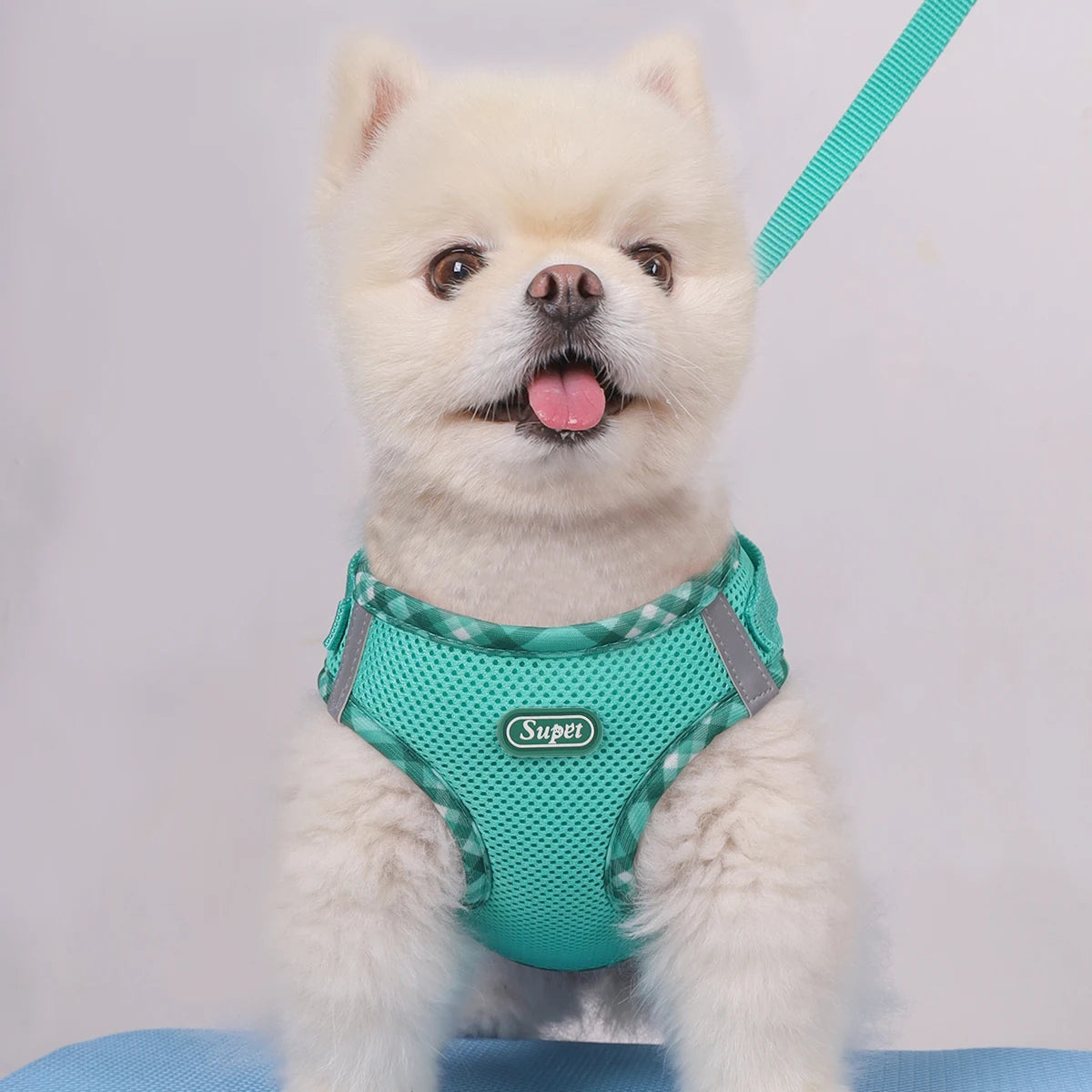 Dog Harness - Mesh, Anti-Pull, Suitable for Small Dogs